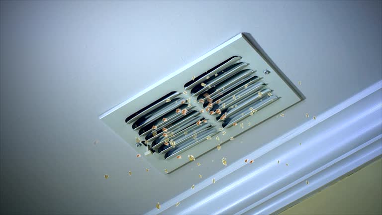 Best Dryer Vent Cleaning Services  in Havana, FL